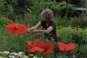 Carmencita de Ruiter docent biodynamisch werken op het land en de tuin, korfimker